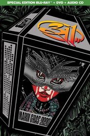 poster 311 - Mardi Gras 2020