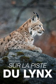 poster Sur la piste du lynx
