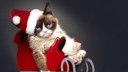 Joyeux Noël Grumpy Cat ! wallpaper 