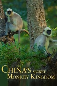 poster China's Secret Monkey Kingdom