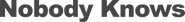 Logo of Nobody Knows image size 1542x186