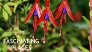 Fascinating Places  