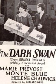 poster The Dark Swan