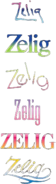 Logo of Zelig image size 243x793