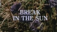 Break in the Sun  