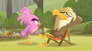 Angry Birds : Un été déjanté season 2 episode 8