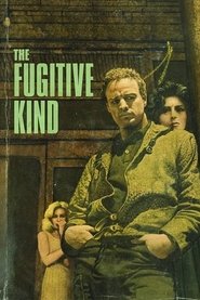 Poster of The Fugitive Kind image size 667x1000