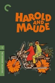 Poster of Harold and Maude image size 1000x1500