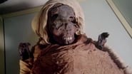 Les Secrets des momies égyptiennes  
