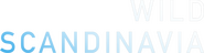 Logo of Wild Scandinavia image size 1073x278