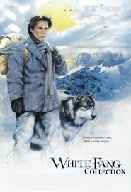 Poster image size 1028x1500