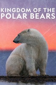 Poster of Kingdom of the Polar Bears image size 2000x3000
