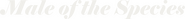 Logo of Male of the Species image size 802x81