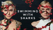 Backdrop of Swimming with Sharks image size 3840x2160
