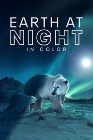 Poster of Earth at Night in Colour image size 2000x3000