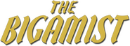 Logo of The Bigamist image size 787x279