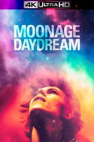 Poster of Moonage Daydream image size 2000x3000