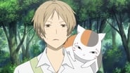 Natsume Yuujinchou - Utsusemi ni Musubu wallpaper 