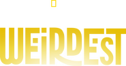 Logo of Madagascar's Weirdest image size 1920x1006
