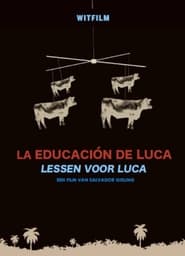 Lessons for Luca