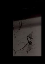 poster RITUAL, Part IV: The Blends