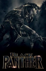 Poster of Black Panther image size 725x1101