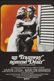 Voir film Un tramway nommé désir en streaming