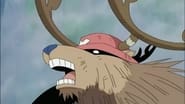 serie One Piece saison 11 episode 404 en streaming
