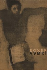 poster The Boxer and Death