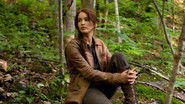 Hunger Games wallpaper 