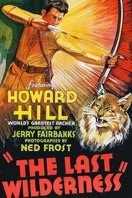 poster The Last Wilderness