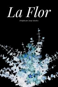 The Flower