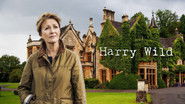 Backdrop of Harry Wild image size 1920x1080