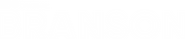 Logo of Branson image size 1198x255