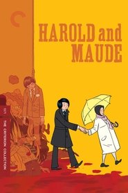 Poster of Harold and Maude image size 1288x1932