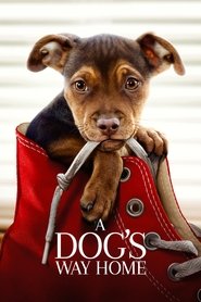 poster A Dog's Way Home
