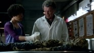 Fringe season 4 episode 3