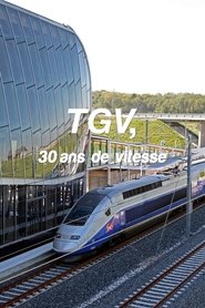 poster TGV, 30 ans de vitesse