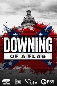 Poster of Downing of a Flag image size 1000x1500