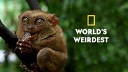 World's Weirdest  