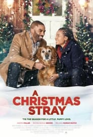 Film A Christmas Stray en streaming