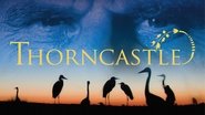 Backdrop of Thorn Castle image size 3840x2160