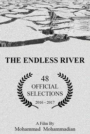 The Endless River Poster