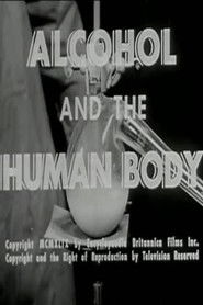 poster Alcohol and the Human Body