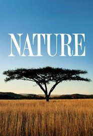 Poster of Nature image size 680x1000