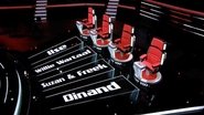 The Voice (Pays-Bas)  