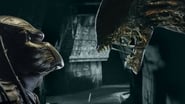 Alien vs. Predator wallpaper 