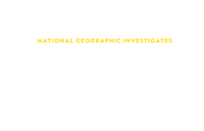 Logo of National Geographic Investigates: LSD and Psychedelics image size 1519x978