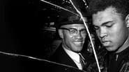 Frères de sang: Malcolm X et Mohamed Ali wallpaper 