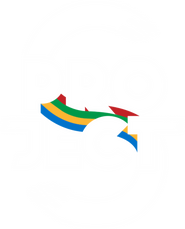 Logo of Project S image size 436x540